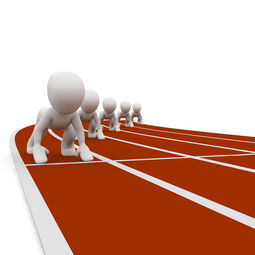 开云娱乐-中小学体育教师职业成长路径研究，中小学体育教师现状