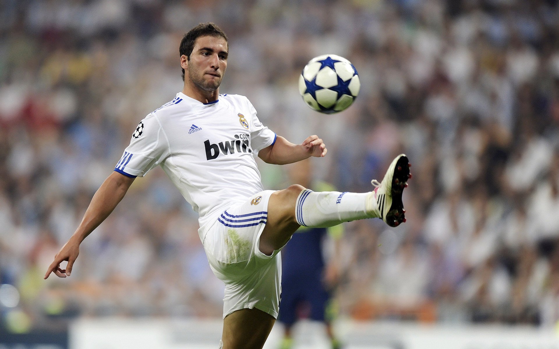 _大赛专访：幕后故事揭示比赛的精彩与辛苦_，比赛幕后工作者